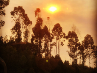 Zuid-Afrika - Vreemde lucht door bosbrand