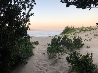 Zuid-Afrika - Strand