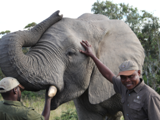Rondreis van Johannesburg naar Kaapstad - Respect