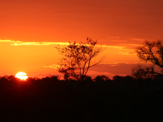Zuid-Afrika - Zonsopkomst in het kruger park