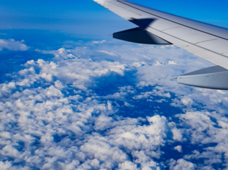 Zuid-Afrika - Op de terug weg