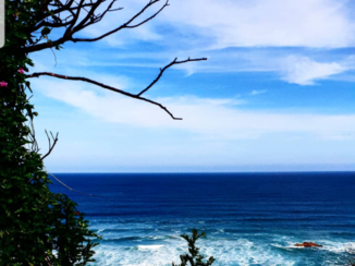 Zuid-Afrika - East London