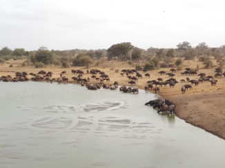 Zuid-Afrika