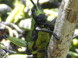 Rondreis Zuid-Afrika in drie weken