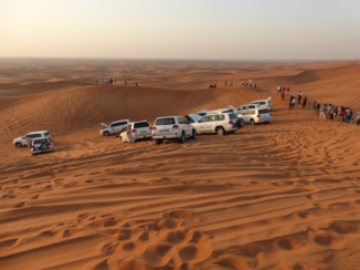Zuid-Afrika - Safari