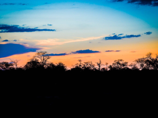Zuid-Afrika - Krugerpark