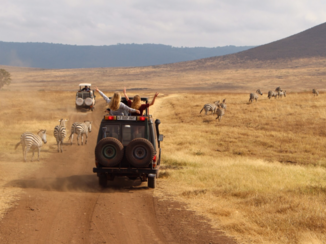 Sawadee - Tussen de zebra’s in Tanzania