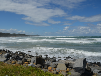 Zuid-Afrika - Een van de mooie stranden.