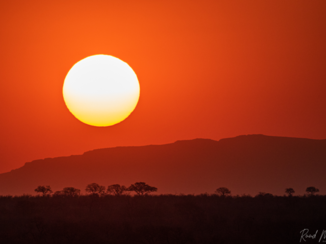 Zuid-Afrika - Afrikaanse zonsondergang