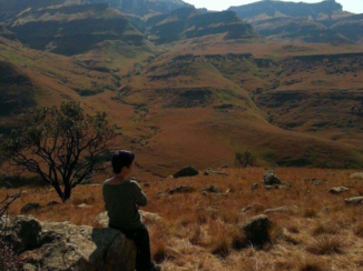 Zuid-Afrika - Wegdromen