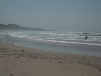 Rondreis Zuid-Afrika in drie weken - Bezoek aan de kust is een hele ervaring