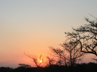 Rondreis Zuid-Afrika in drie weken - en ga lekker slapen als de zon onder gaat