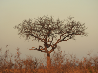 Zuid-Afrika
