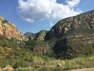 Zuid-Afrika - Southern lowveld