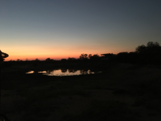Zuid-Afrika - Lowveld