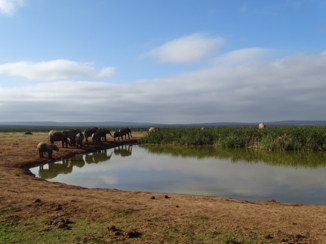 Zuid-Afrika