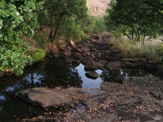 Zuid-Afrika - Natuur