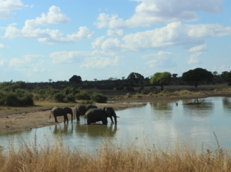 Krugerpark