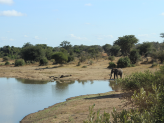 Krugerpark