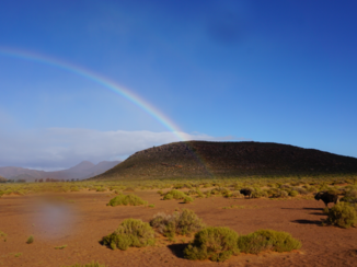 Zuid-Afrika - Aquila Game Reserve