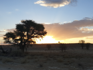 Kgalagadi Transfrontier Park
