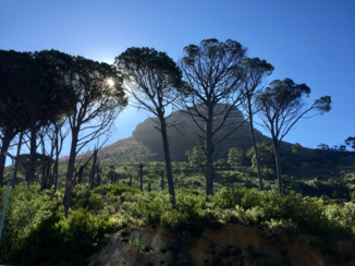 Zuid-Afrika - Kaapstad