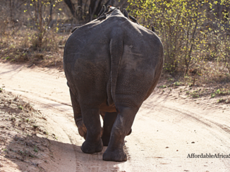 Zuid-Afrika - Schoonmaak team actief