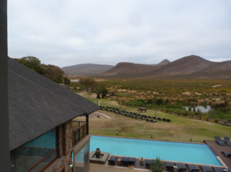Aquila Private Game Reserve - aquila in de morgen