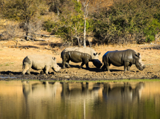 Zuid-Afrika - All magic comes with a price