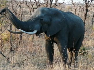 Rondreis van Johannesburg naar Kaapstad