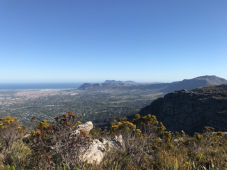 Tafelberg