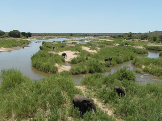 Zuid-Afrika - Krugerpark bij Letaba Camp
