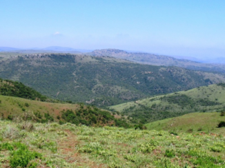 Zuid-Afrika - Ithala Park oudste park van Zuid-Afrika. Weinig geboekt maar prachtig en zeker een bezoek waard.