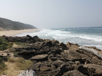 Zuid-Afrika - Cape vidal KZN