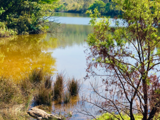 Zuid-Afrika - Swaziland